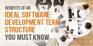 Benefits of an Ideal Software Development Team Structure You Must Know