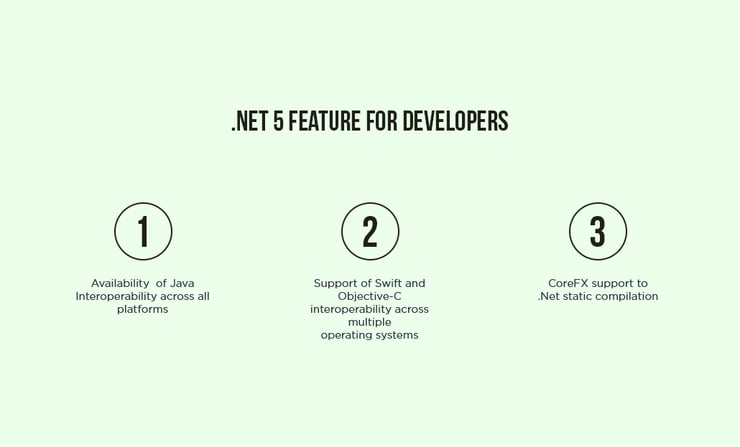 .Net 5 Feature For Developers