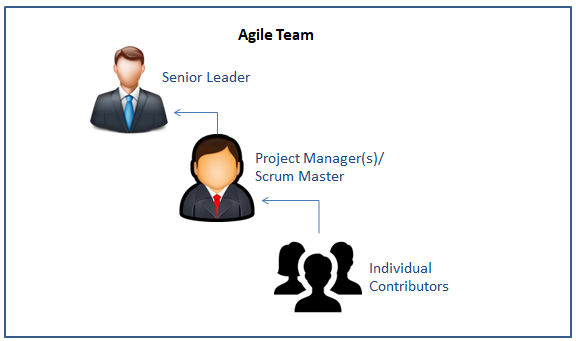 agile team